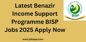 Latest Benazir Income Support Programme BISP Jobs 2025 Apply Now